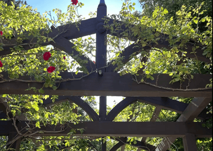 Screenshot 2025-09-23 194530 - Copy